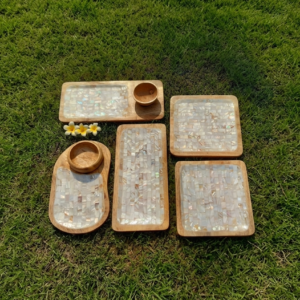 Serving appetizer Tray set of 5