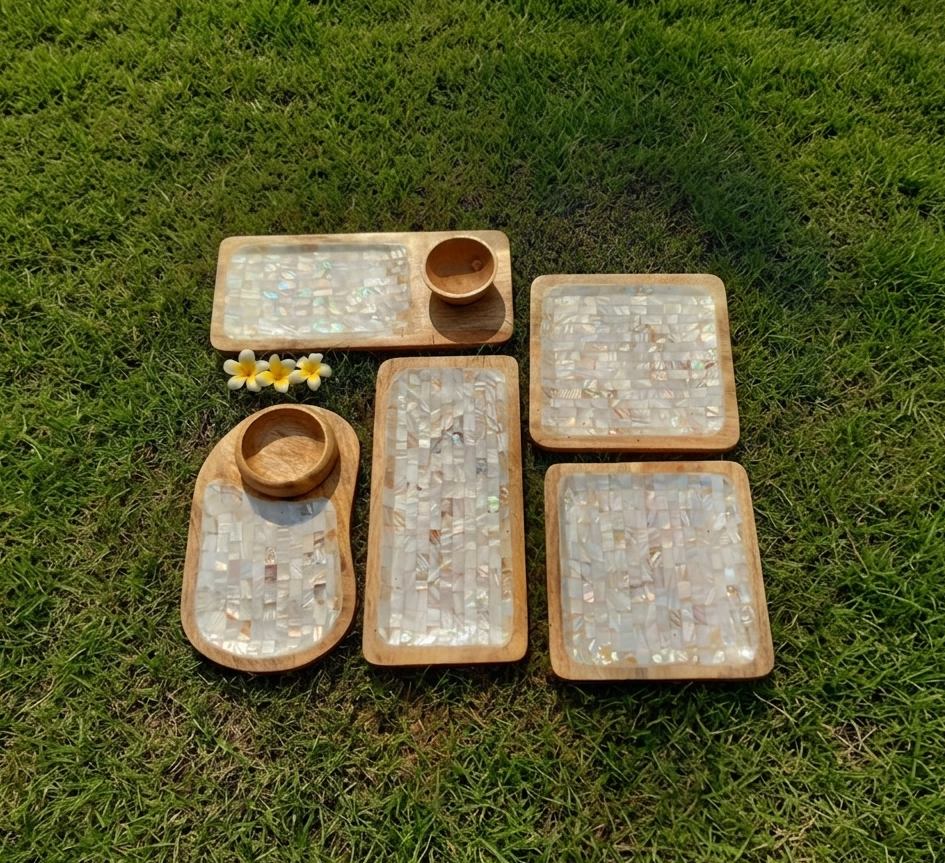 serving-appetizer-tray-set-of-5